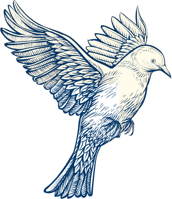 A bird flying away